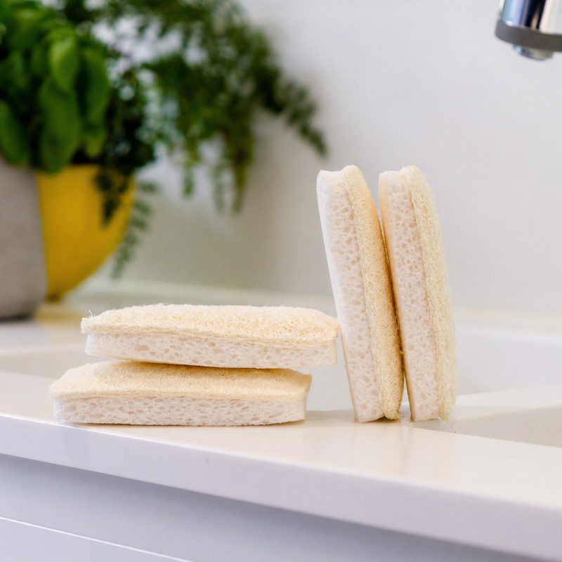 EcoScrub™ Plastfri Svamp